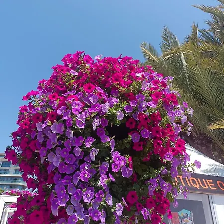 Maison De Charme Au Coeur D'ax-les-thermes * Ax-les-Thermes