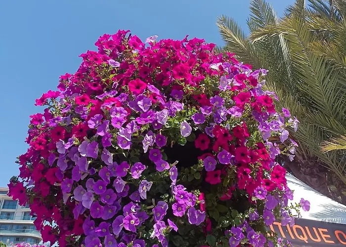 Maison De Charme Au Coeur D'ax-les-thermes * Ax-les-Thermes